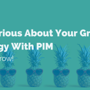 growth-strategy-with-pim