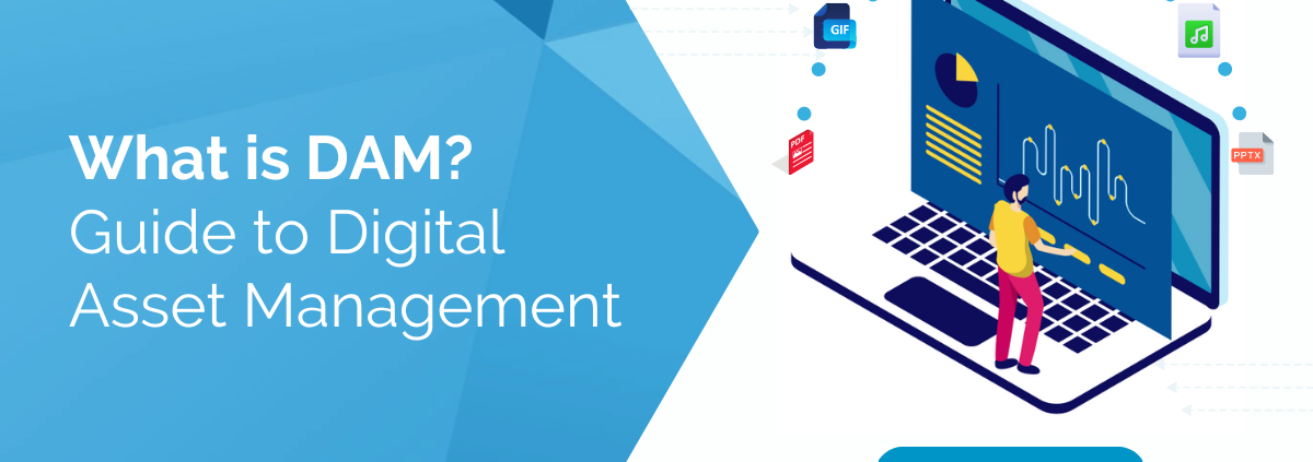 what-is-dam-digital-asset-management-guide