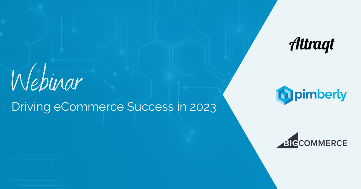 driving-ecommerce-success-webinar