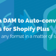 dam for shopify plus