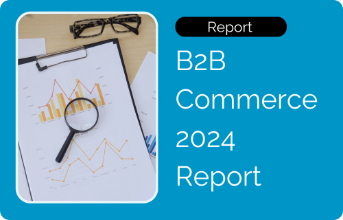 Image of B2B Commerce Report by Luminos Labs