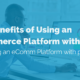 image of eComm platform