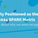 image of pimberly spark matrix