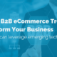 image of Top 10 B2B eCommerce Trends to Transform Your Business