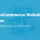 Top 12 eCommerce Website Features