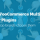 image of woocommerce multi vendor plugun