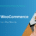 PIM for WooCommerce